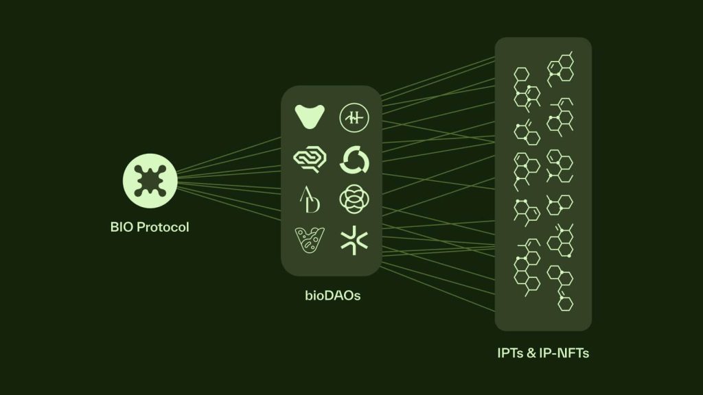 The Tokenomics of Bio Protocol
The tokenomics, or "bionomics," of Bio Protocol has been a topic of concern for some investors. While the project claims to have a deflationary model, further scrutiny reveals that the max supply is uncapped and can be adjusted based on the needs of the network. This means that the total supply of tokens can be increased in the future, which could lead to potential dilution. Bio Protocol acknowledges that the uncapped supply is tied to the future growth of the network, making it a key factor to consider before getting involved.
Investors should be aware that, just like any emerging project, Bio Protocol is highly speculative, and its tokenomics need to be carefully considered. While the governance model offers decentralization and community involvement, the risks of dilution and unclear token supply could impact future price stability.
