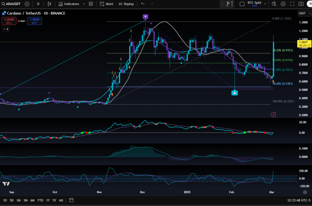 The immediate market reaction to this announcement was profound. Cardano's ADA token experienced a remarkable 50% increase in value, propelling its price to just over $1 per token. This surge reflects heightened investor confidence and a renewed interest in ADA as a valuable digital asset. The broader cryptocurrency market mirrored this positive sentiment, with other digital assets also experiencing notable gains. 